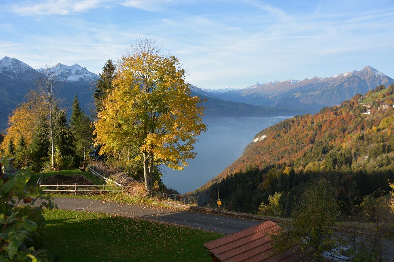 Ula'S Holiday Apartments Beatenberg Esterno foto