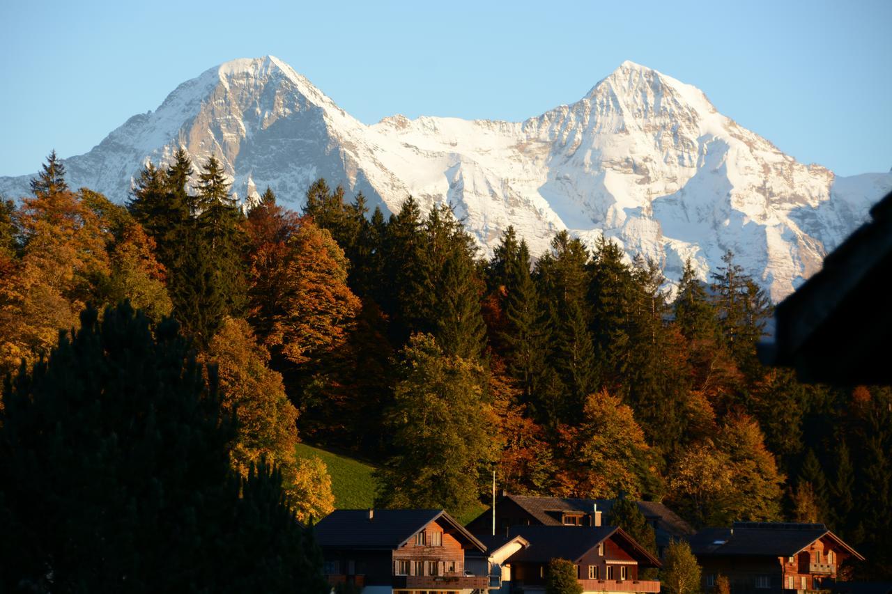 Ula'S Holiday Apartments Beatenberg Esterno foto
