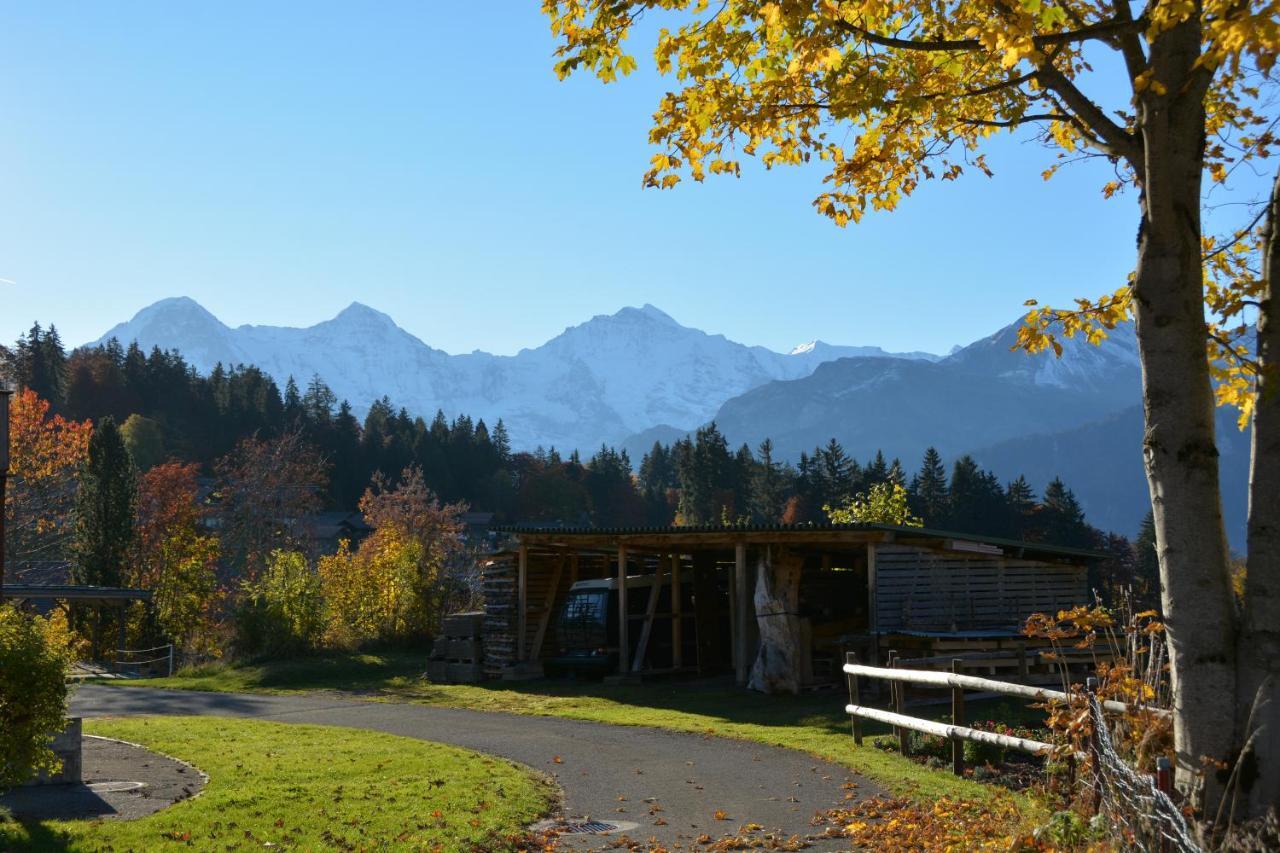 Ula'S Holiday Apartments Beatenberg Esterno foto